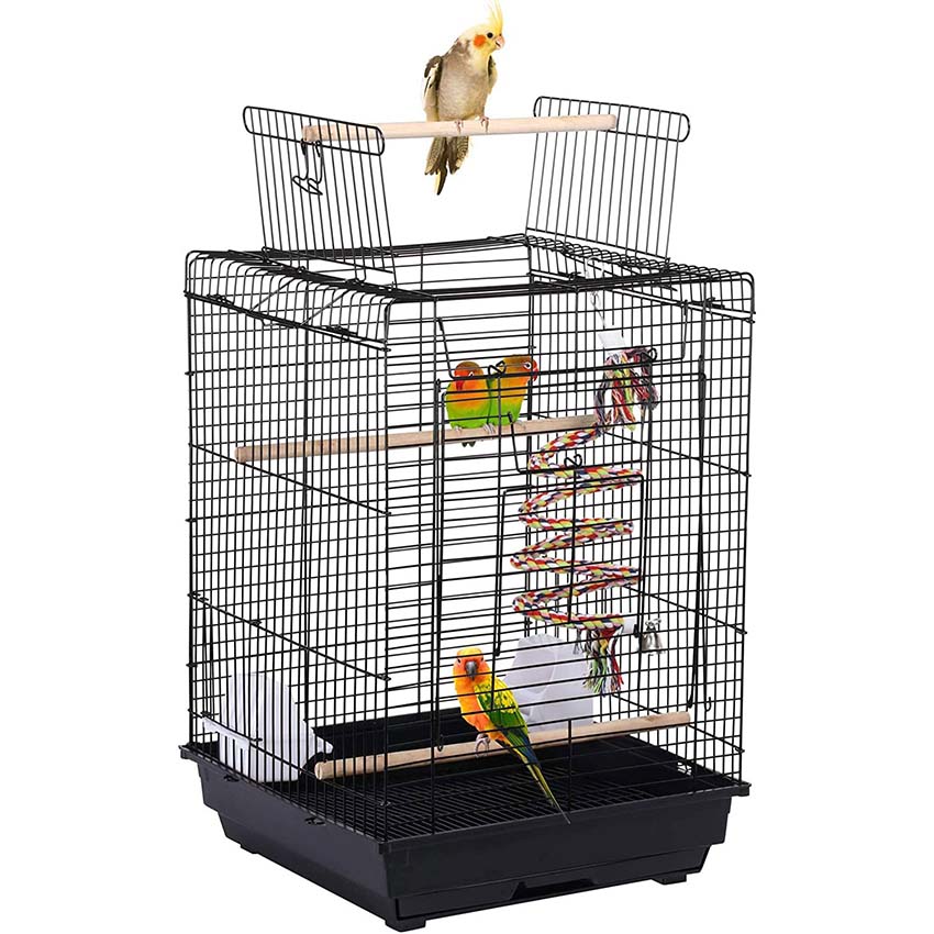 Bird Food Bird Treats Bird Cages Toys Bird Supplies at low prices