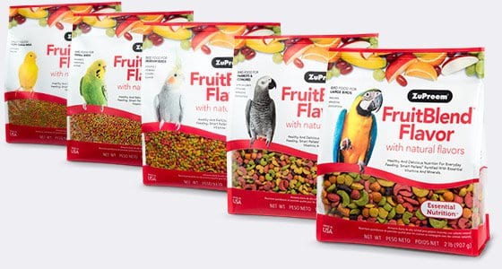 Bird Food