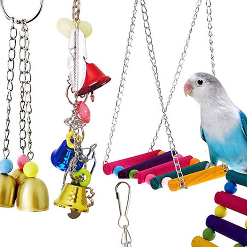 Toys & Perches