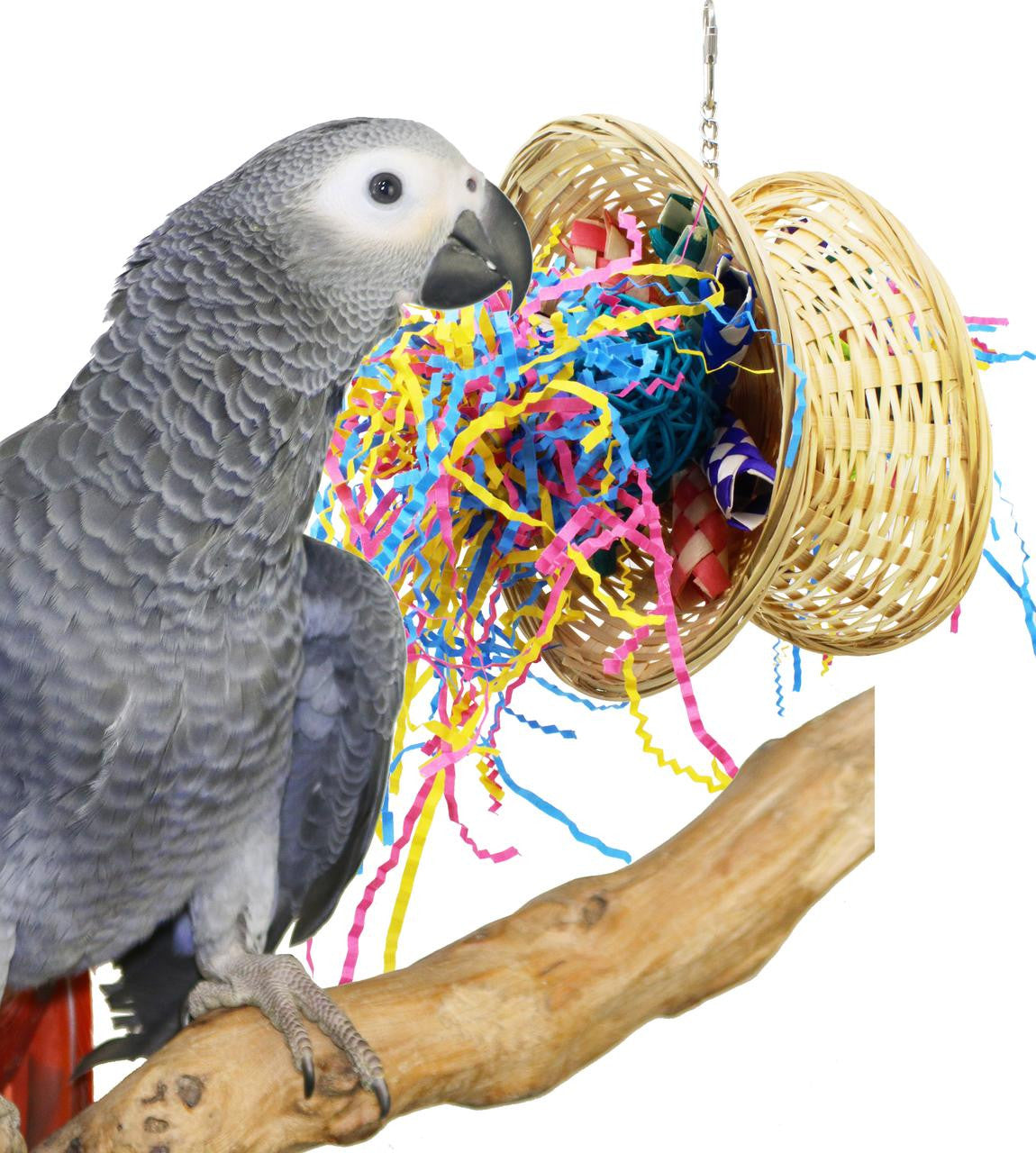 Bird Food Bird Treats Bird Cages Toys Bird Supplies at low prices