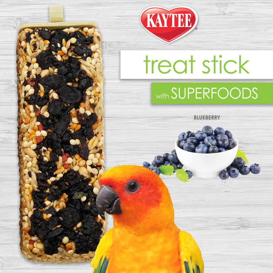 Kaytee Avian Superfood Treat Stick Blueberry 5.5 oz