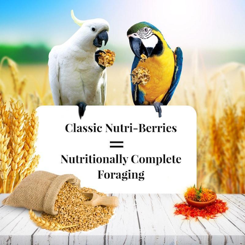 Lafeber's Classic Nutri-Berries Macaw & Cockatoo Food