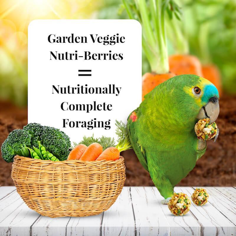 Lafeber's Garden Veggie Nutri-Berries Parrot Food