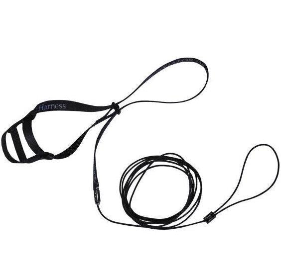 Aviator Bird Harness and Leash, Petite