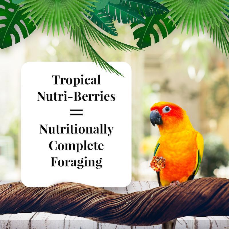 Lafeber's Tropical Fruit Nutri-Berries Conure Food