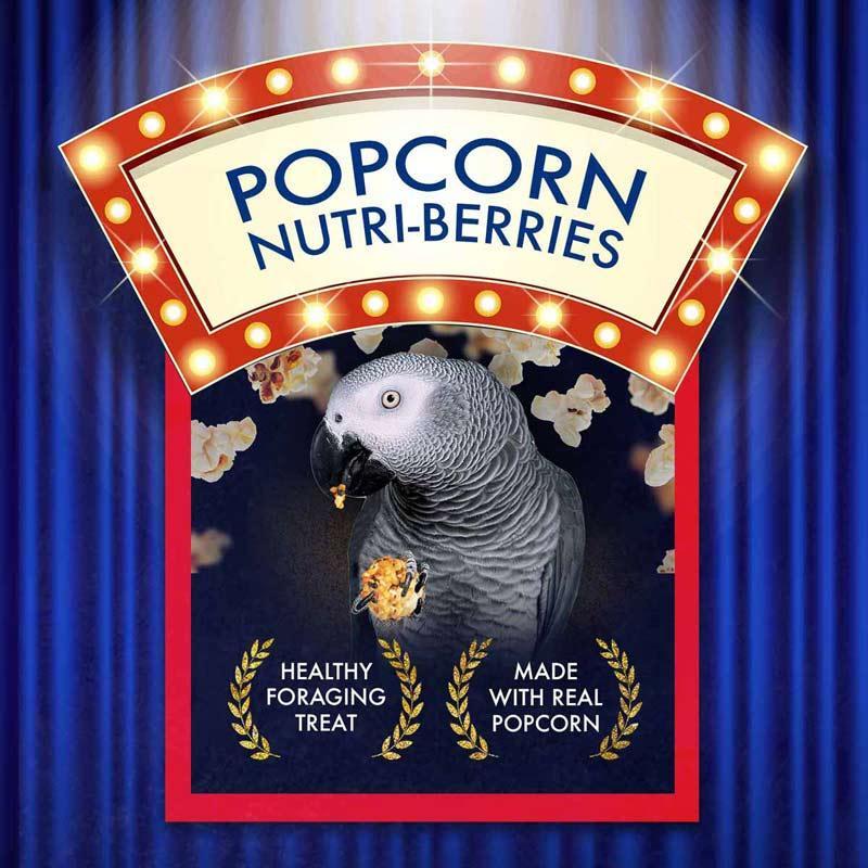 Lafaber's Popcorn Nutri-Berries Parrot Food