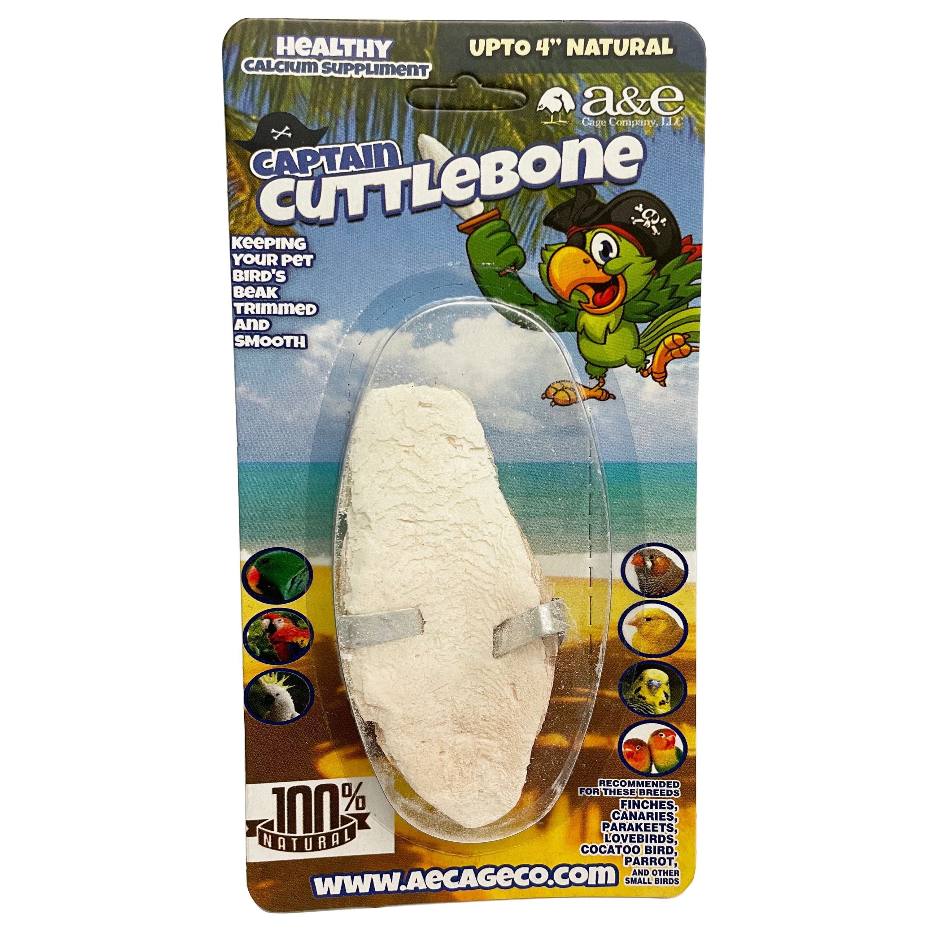 A&E AE9026 4'' Cuttlebone Small