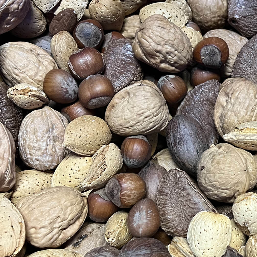 Whole Shelled Mixed Nuts