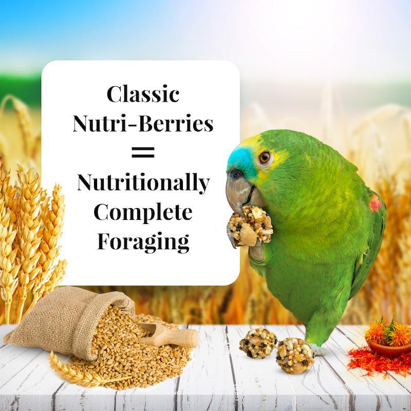 Lafeber's Classic Nutri-Berries Parrot Food