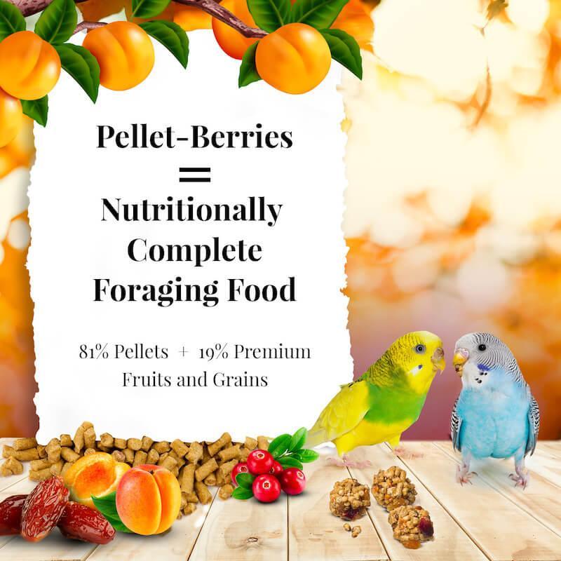 Lafeber's Sunny Orchard Pellet-Berries Parakeet Food